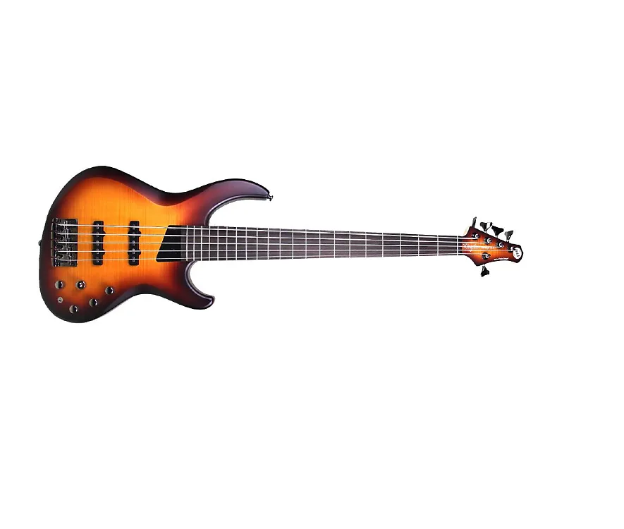 Michael Tobias Design / MTD Kingston Saratoga DLX 5 5st