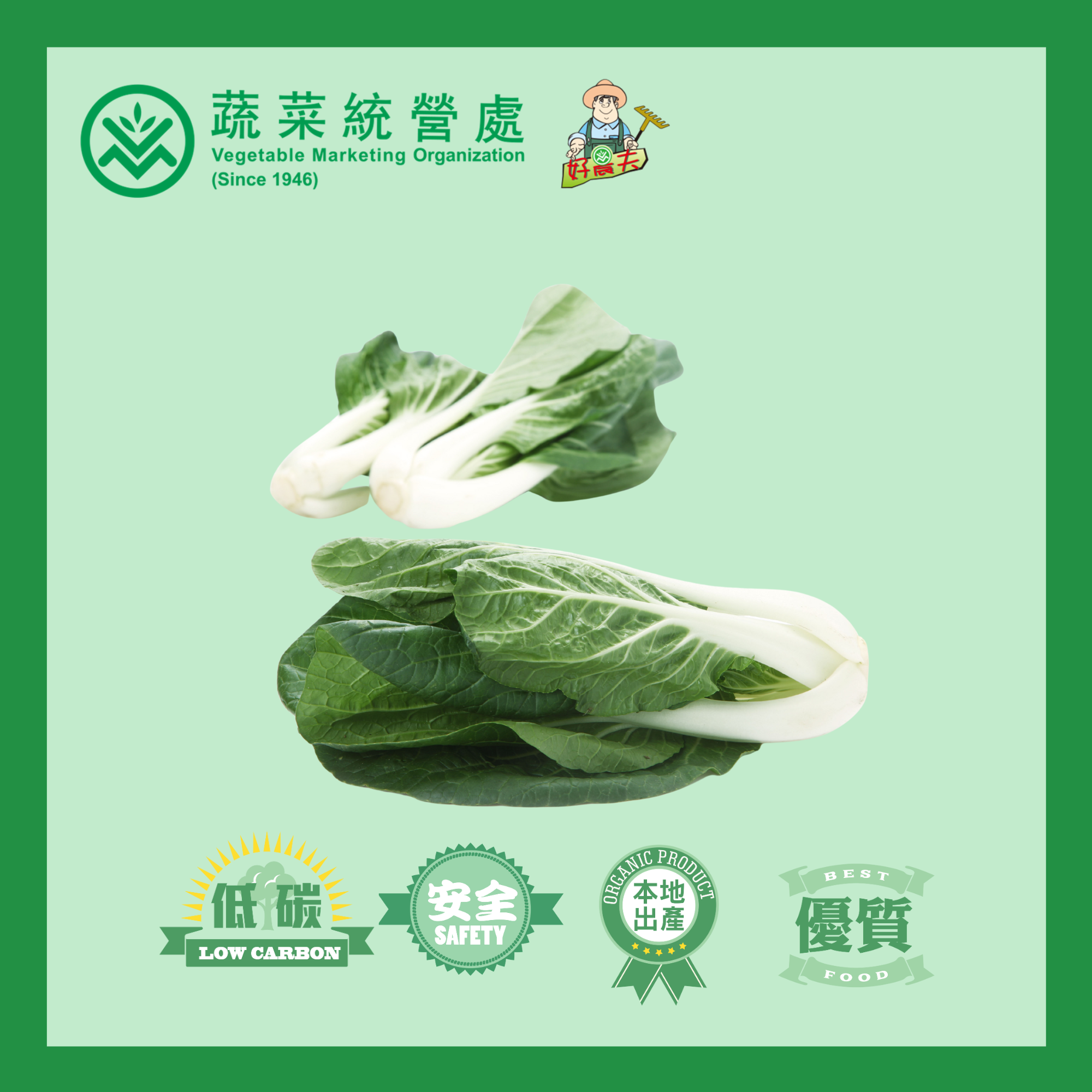 本地有機白菜 (白菜仔/斤)