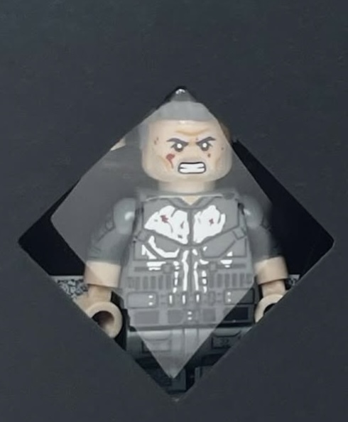 【Wonderful Minifigure】懲罰者 (限量異色)