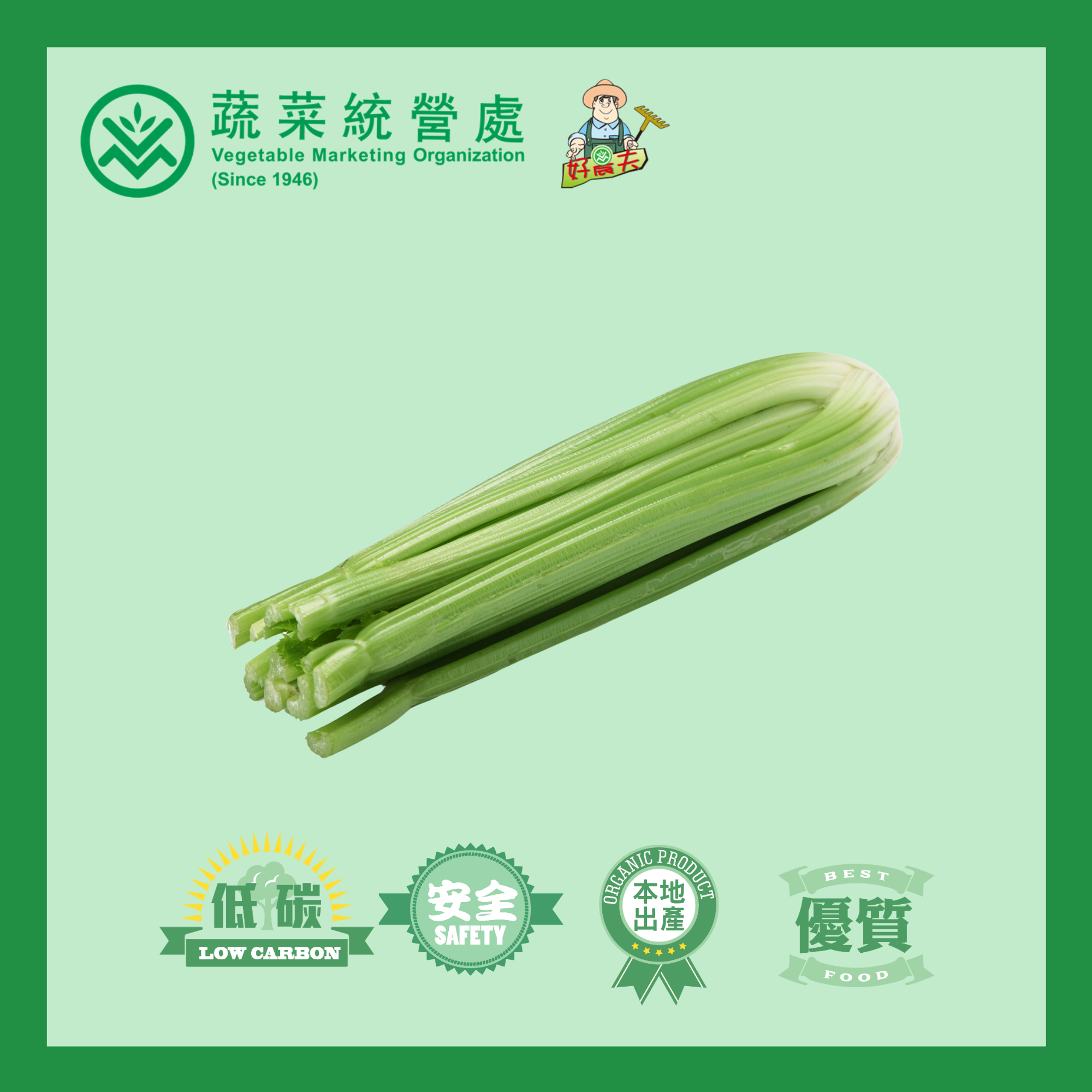 本地有機西芹 (斤)