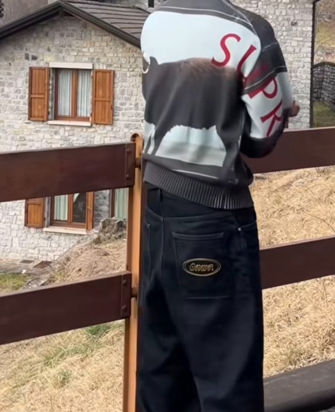 Supreme x Damien Hirst 動物圖案毛衣｜ WEEK1 聯名款 美式潮流長袖