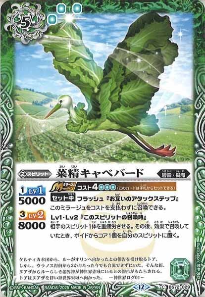 BS72-029 菜精キャベバード