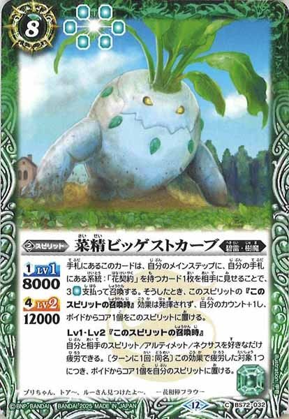 BS72-032 菜精ビッゲストカーブ