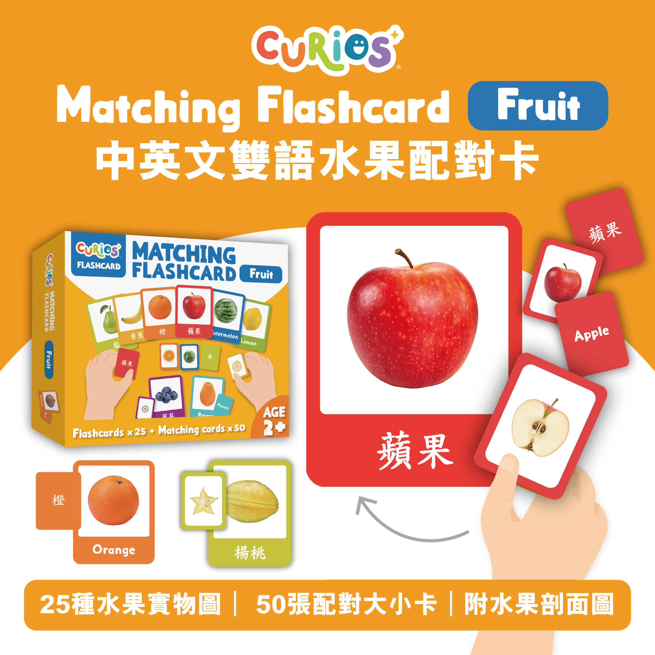 Curios®️中英文雙語水果配對卡