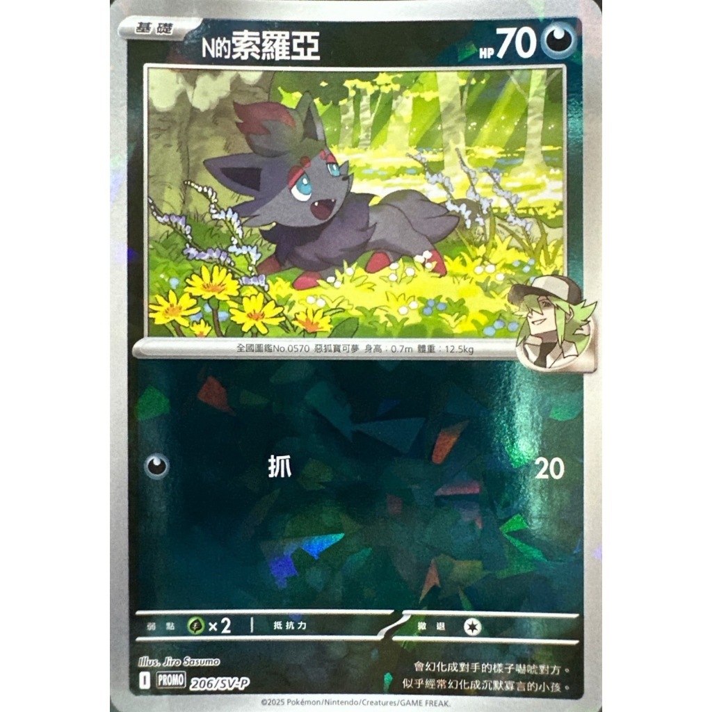 PROMOF 206/SV-P N的索羅亞