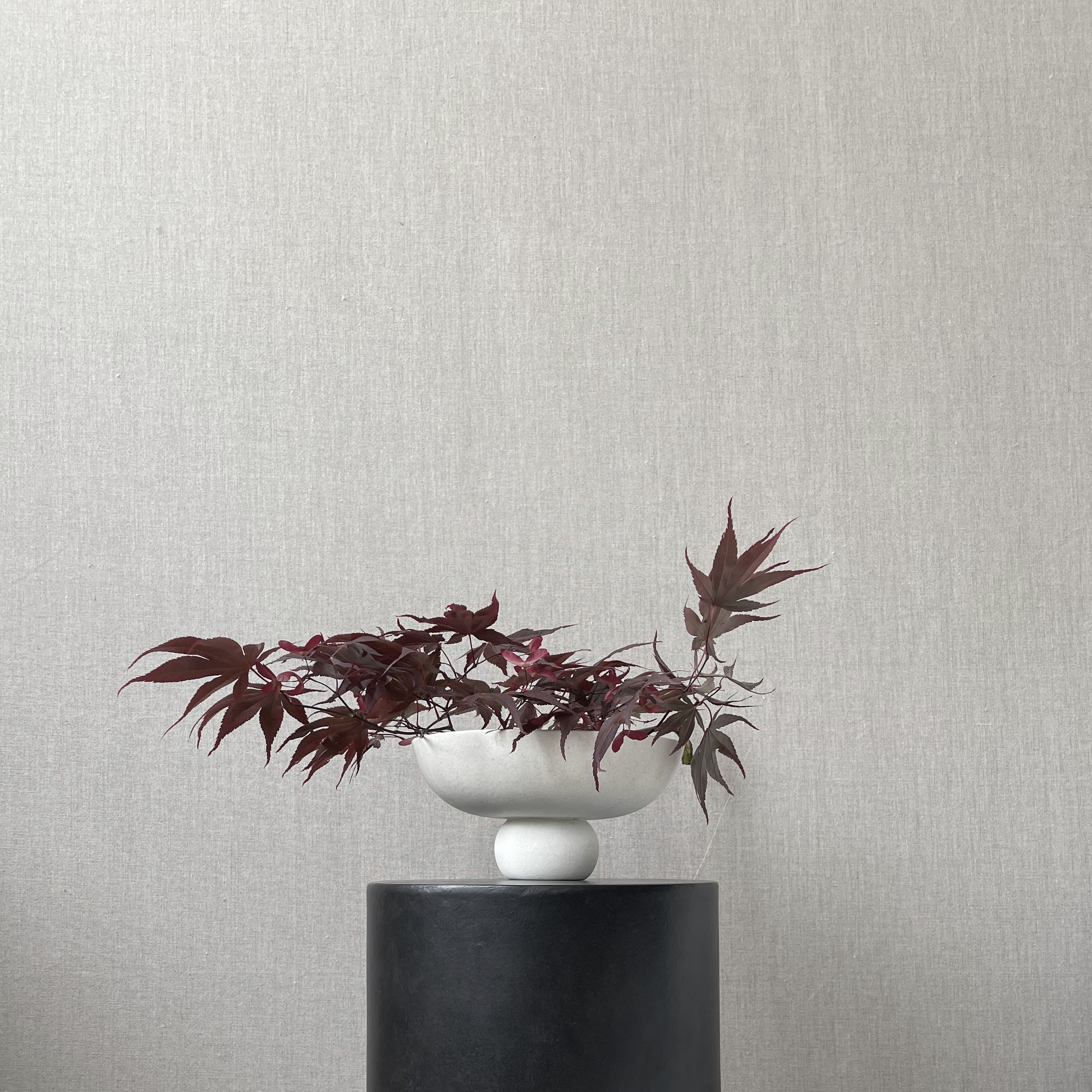 101CPH 泡泡碗/中 骨白色