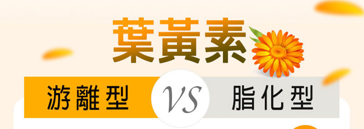 葉黃素-晶亮首選-嚴萃保健-19