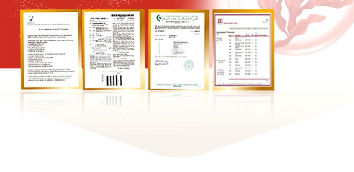 葉黃素-晶亮首選-嚴萃保健-26