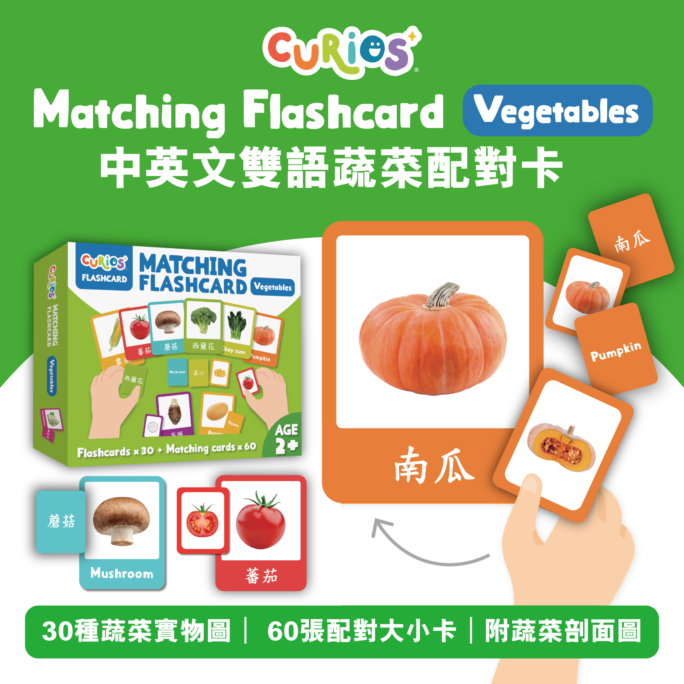 Curios®️中英文雙語蔬菜配對卡