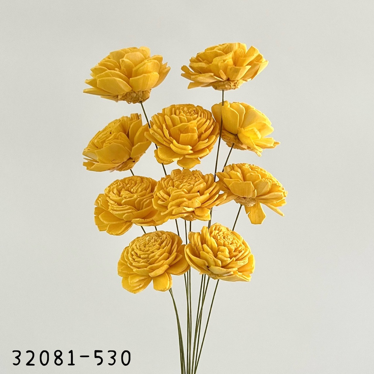 日本索拉玫瑰花 32081-530