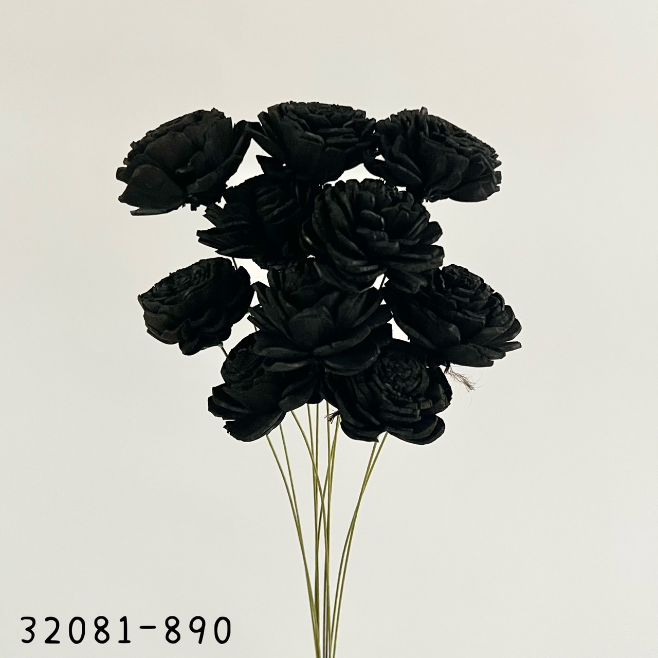 日本索拉玫瑰花 32081-890