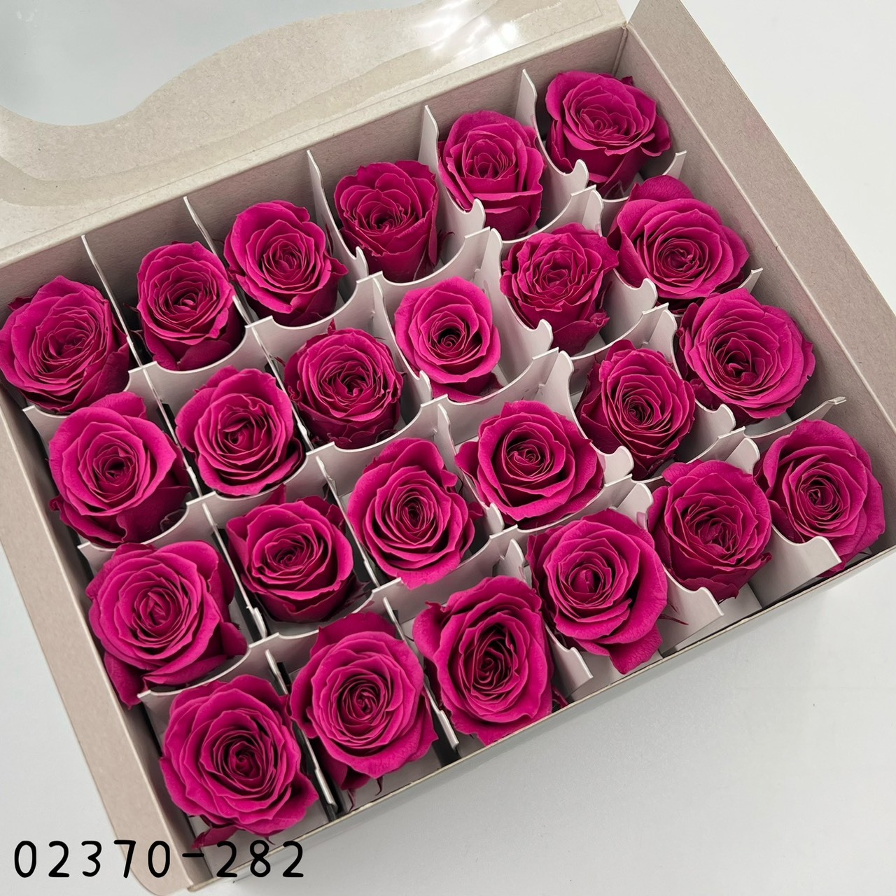 日本不凋迷你玫瑰(24朵) 02370-282
