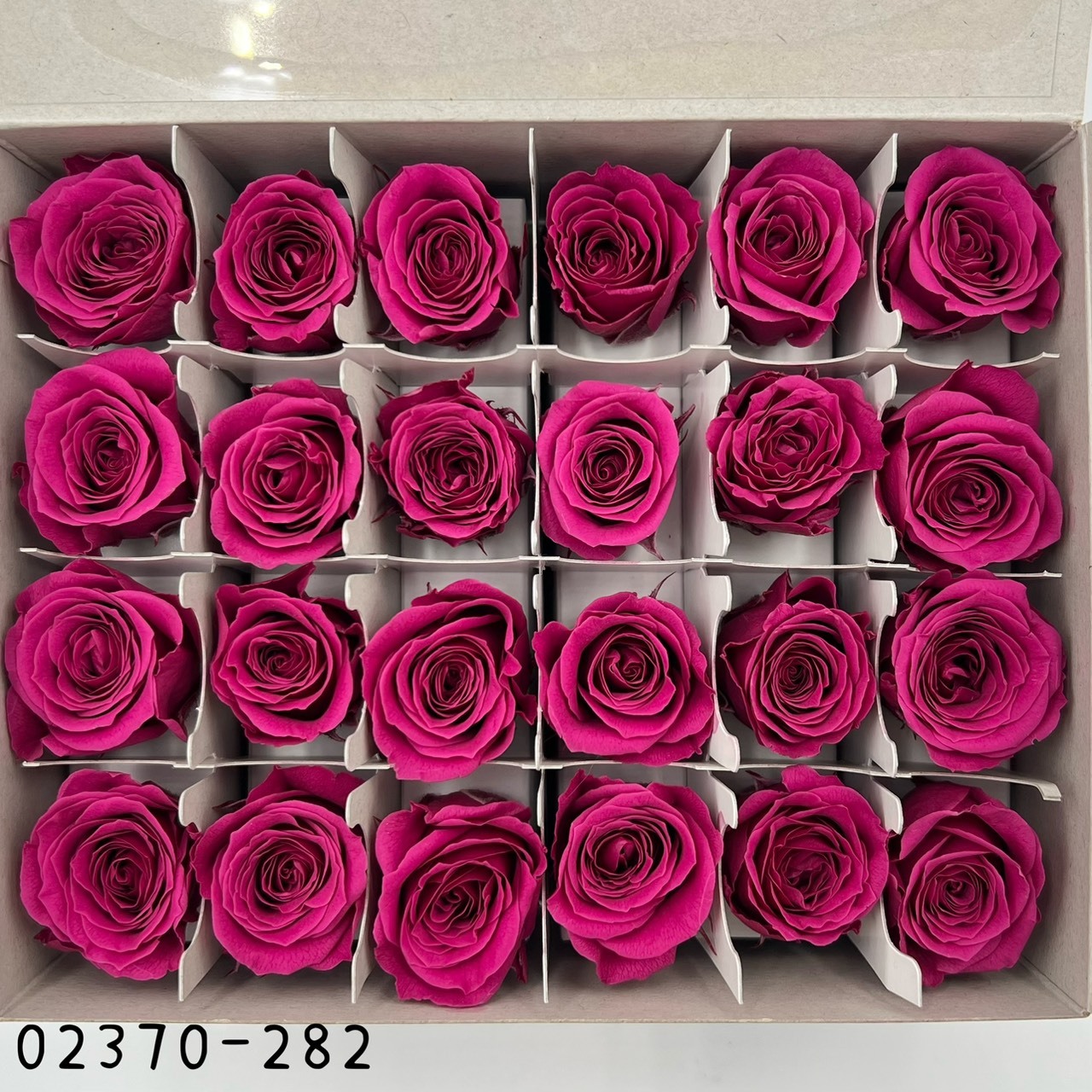 日本不凋迷你玫瑰(24朵) 02370-282