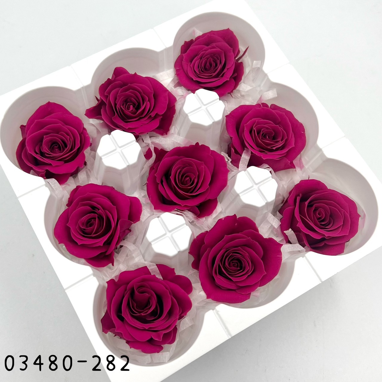 日本不凋中輪玫瑰(9朵) 03480-282