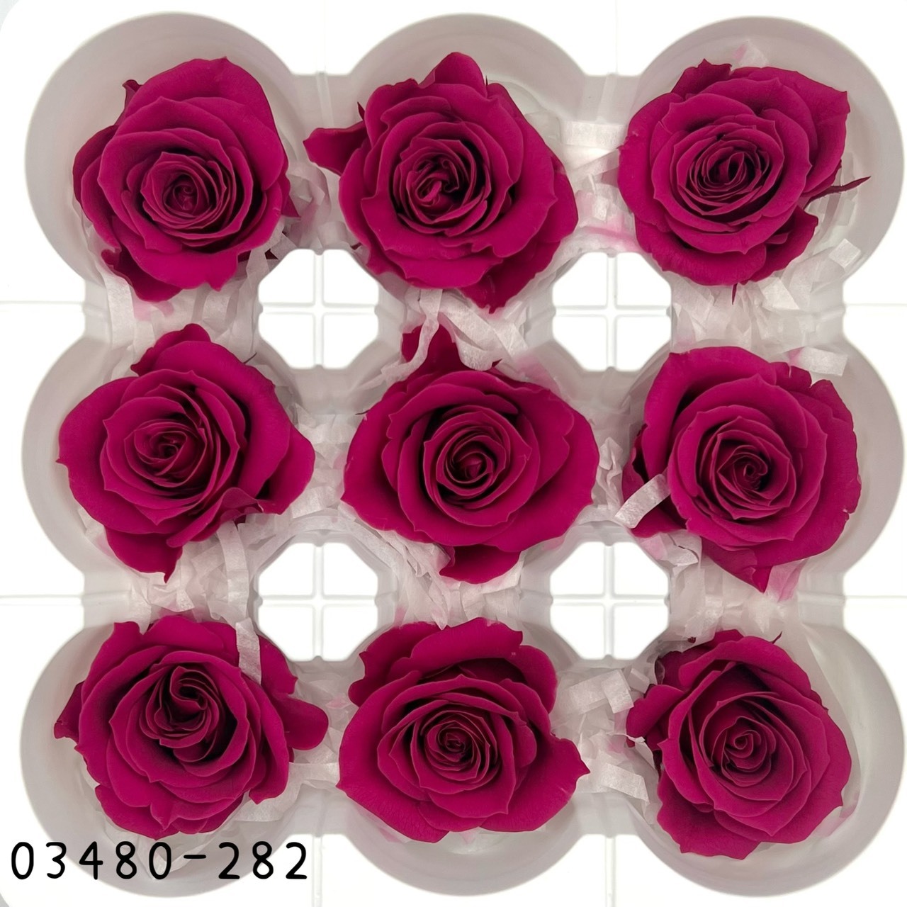 日本不凋中輪玫瑰(9朵) 03480-282