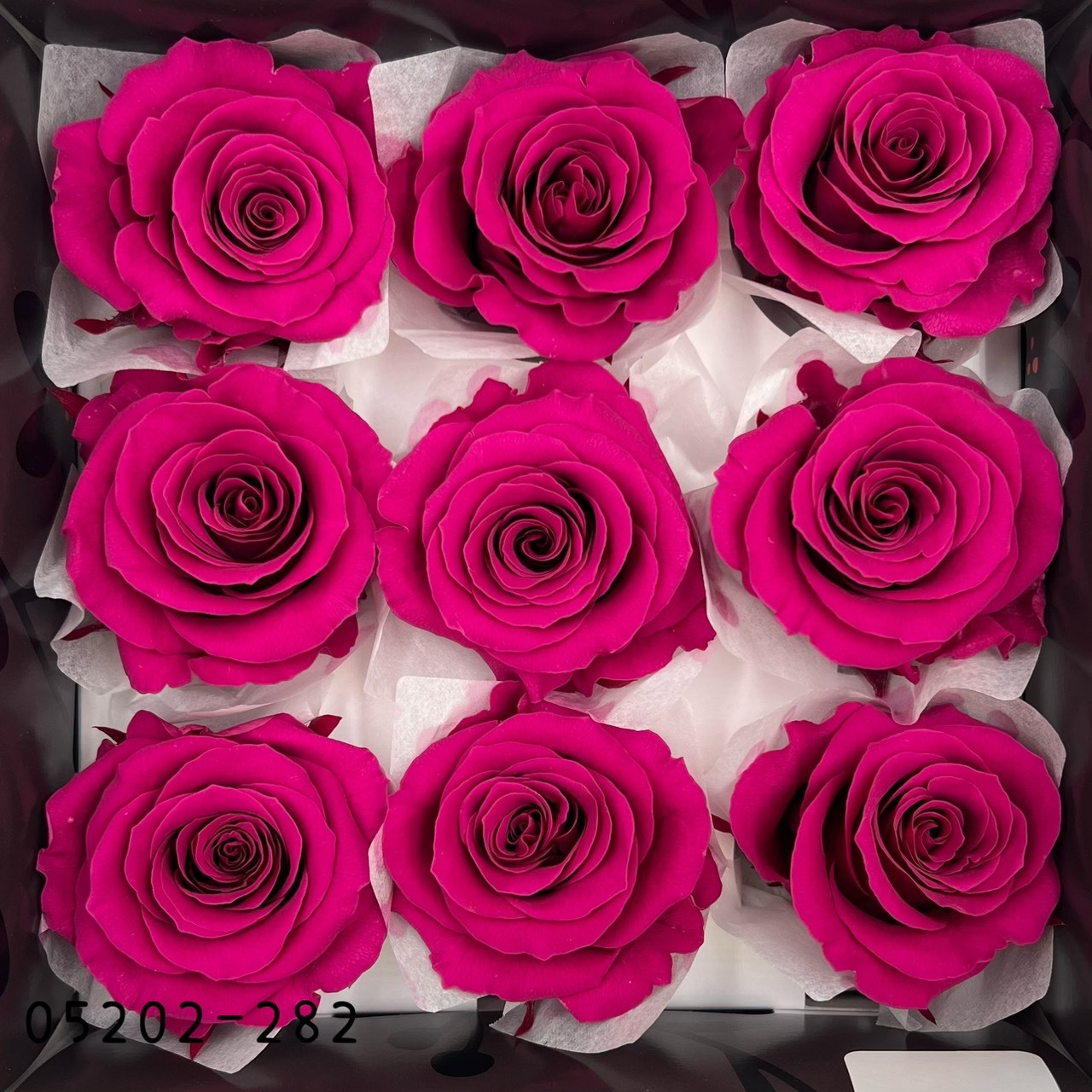日本不凋大輪玫瑰(M-9朵) 05202-282