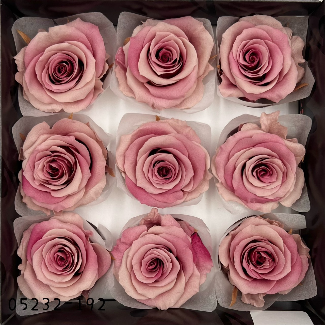 日本不凋大輪漸層玫瑰(9朵) 05232-192