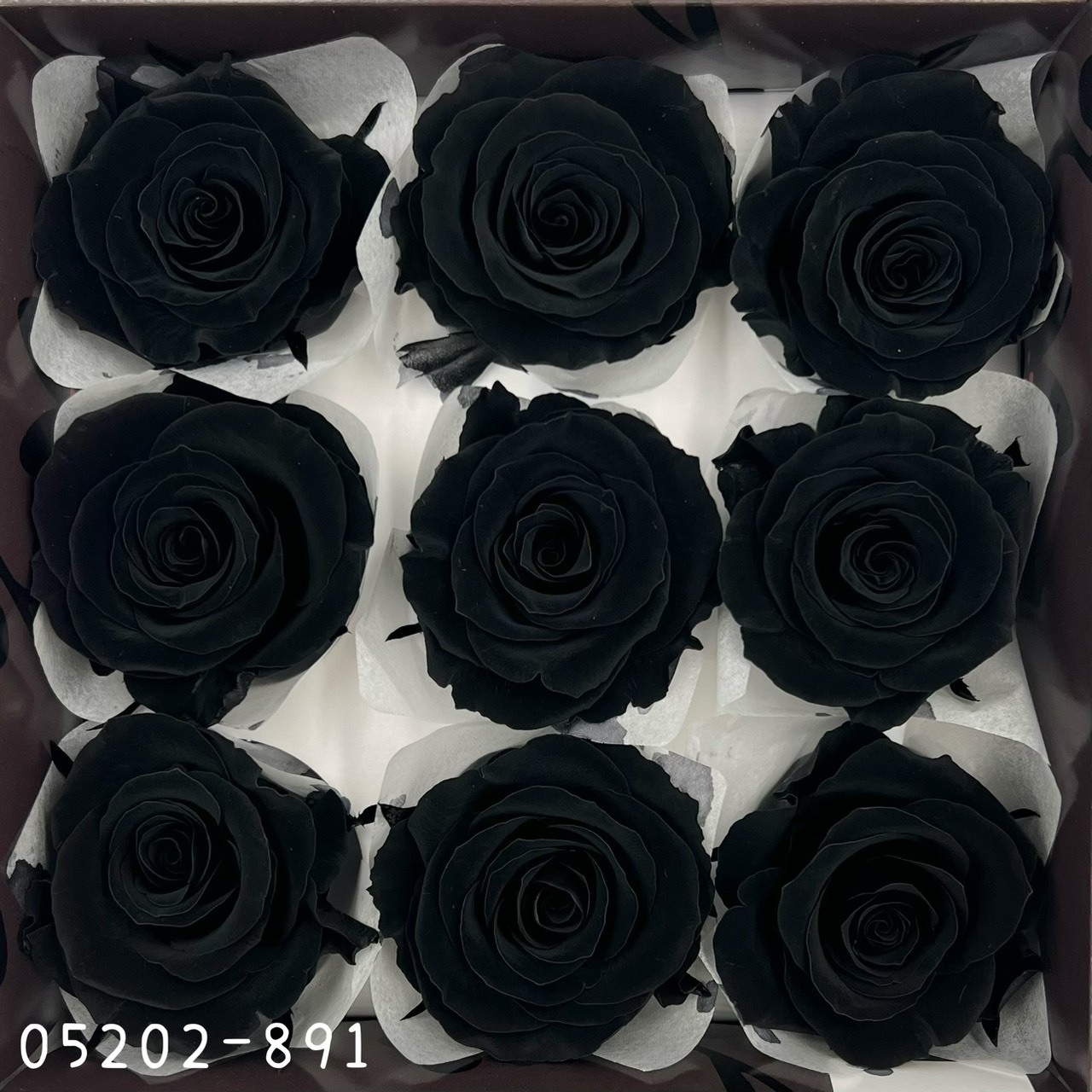日本不凋大輪玫瑰(M-9朵) 05202-891
