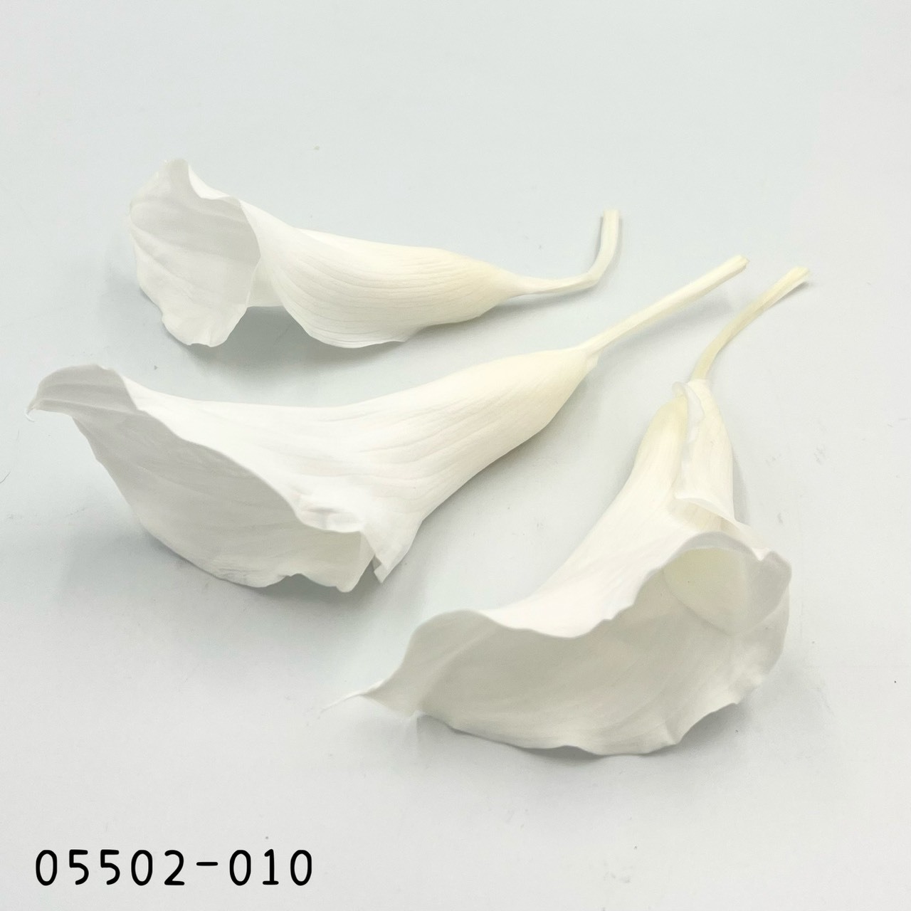 日本不凋海芋05502-010