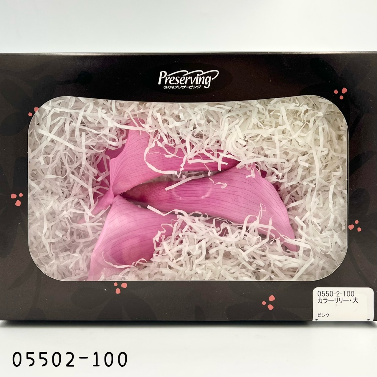 日本不凋海芋05502-100