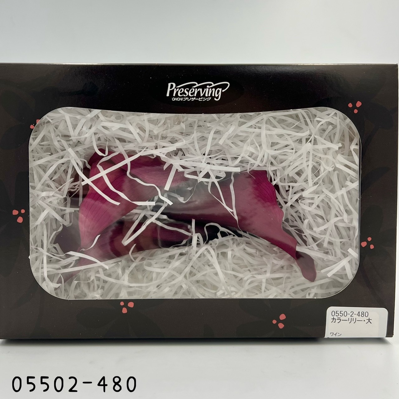 日本不凋海芋05502-480