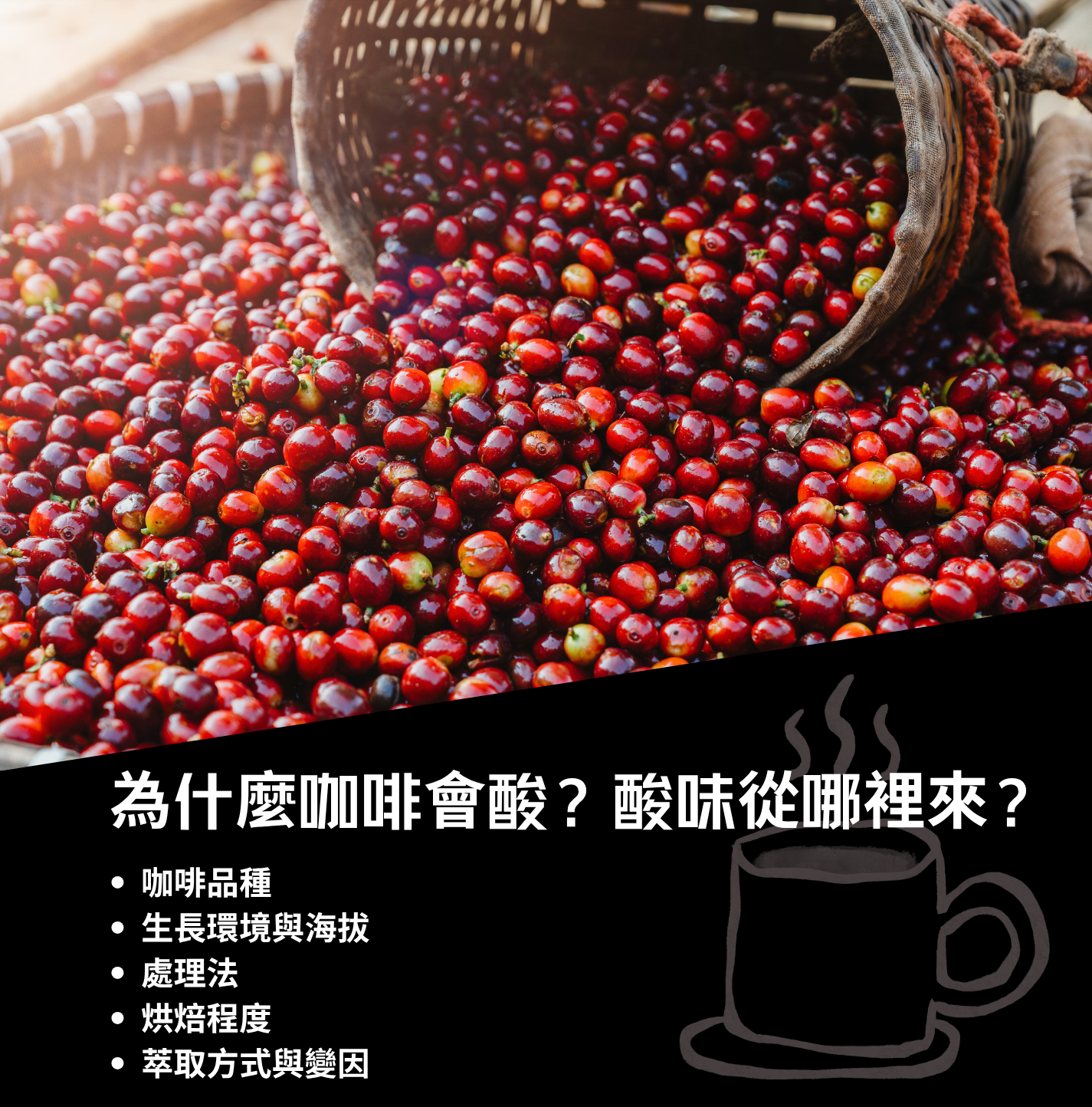 為什麼咖啡會酸 咖啡會酸 咖啡酸味 咖啡的酸 酸的咖啡 不酸的咖啡 果酸咖啡 精品咖啡 咖啡知識 咖啡常識