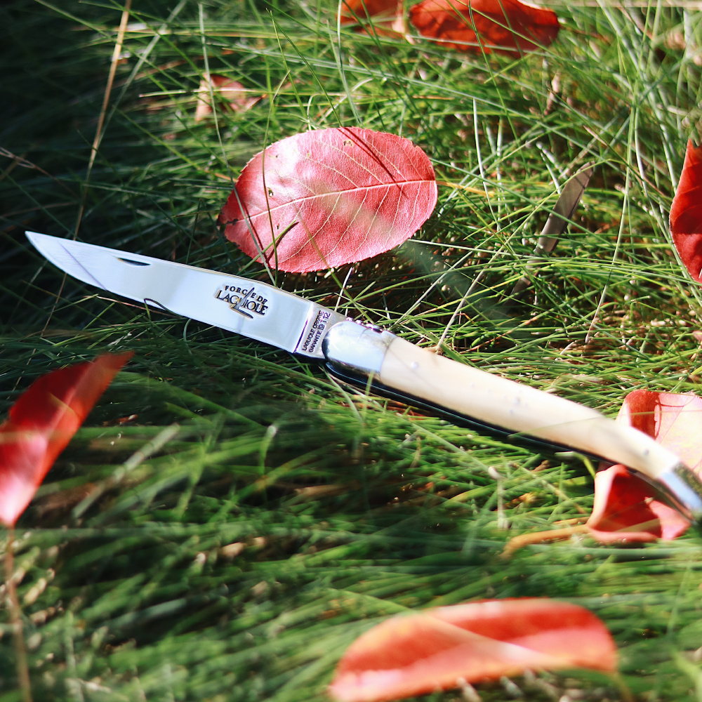 FORGE DE LAGUIOLE Folding knife ⋆ Light horn handle