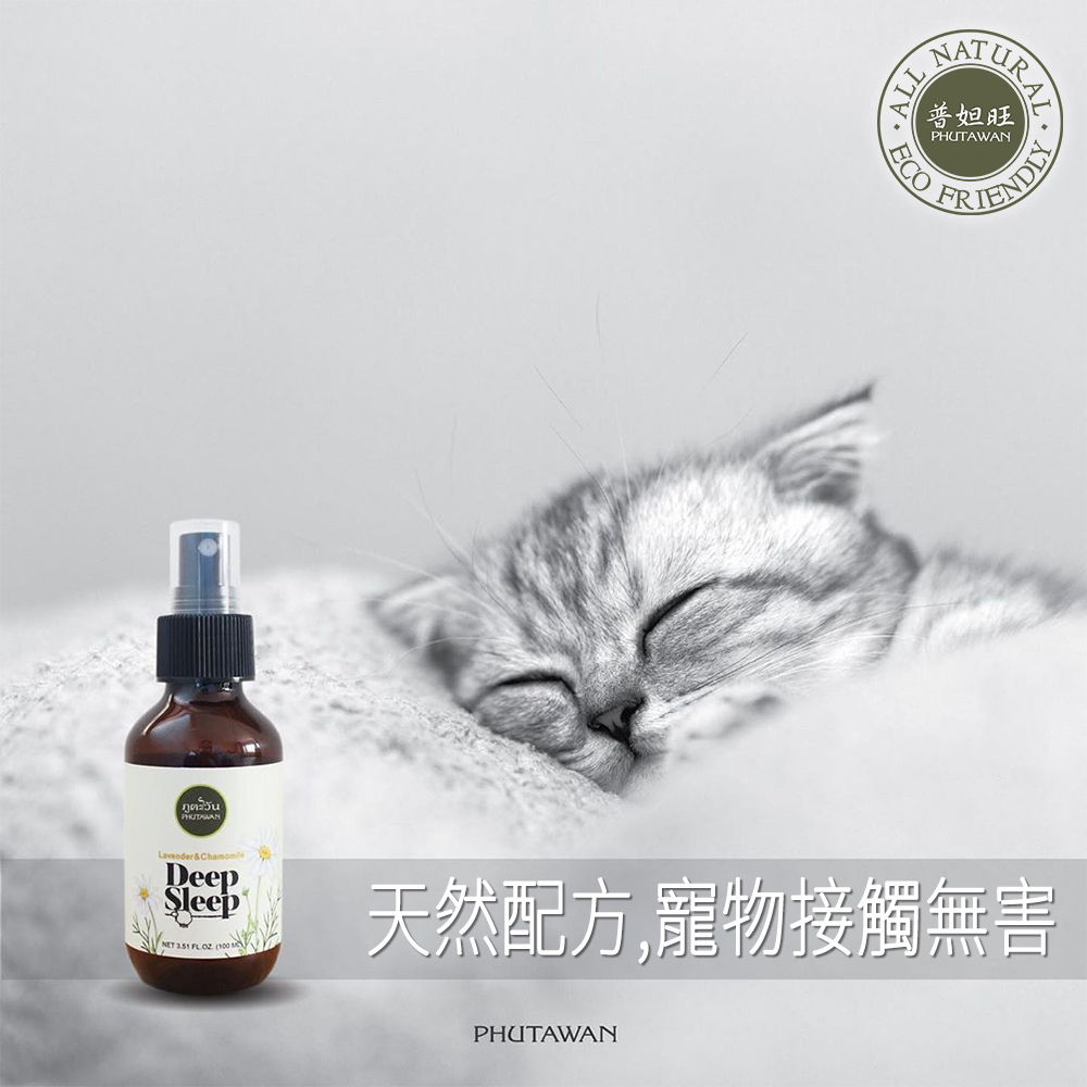 牽引安眠枕,居家按摩師,睡眠儀式,頸椎枕,牽引枕,失眠,整復,物理治療,4leur,肩頸痠痛,Phutawan,助眠枕頭噴霧,記憶枕