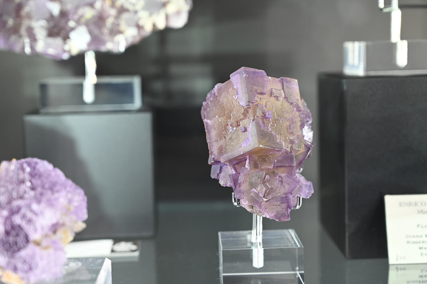 聖瑪莉礦物展