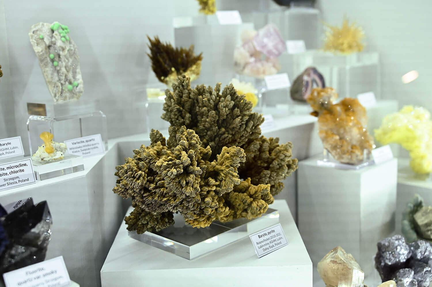 聖瑪麗礦物展