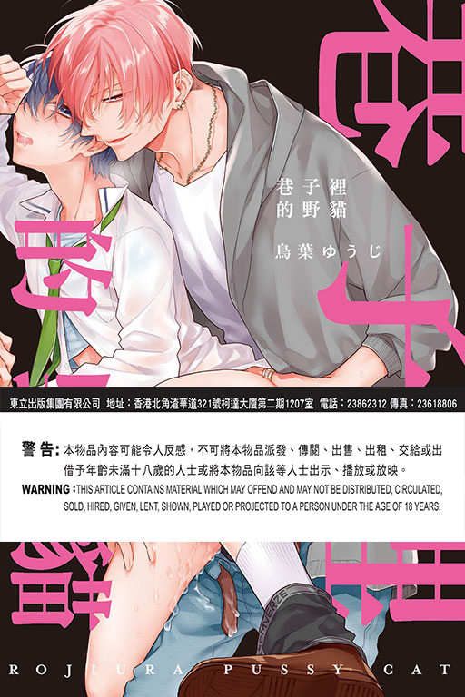 巷子裡的野貓 （全）