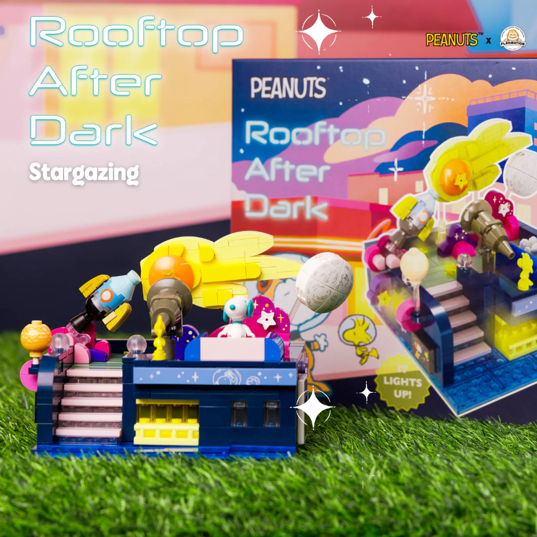 史奴比積木-屋頂風情-觀星