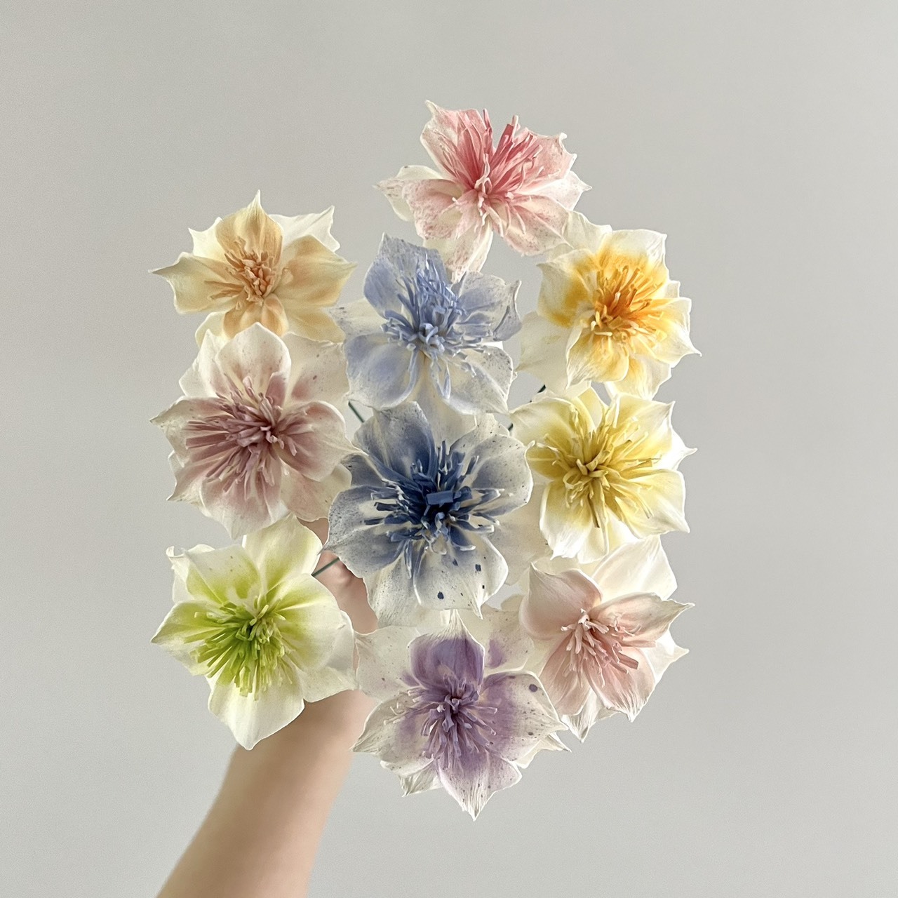 泰國索拉 尖葉扶桑花 6CM <十支一把> (高品質)