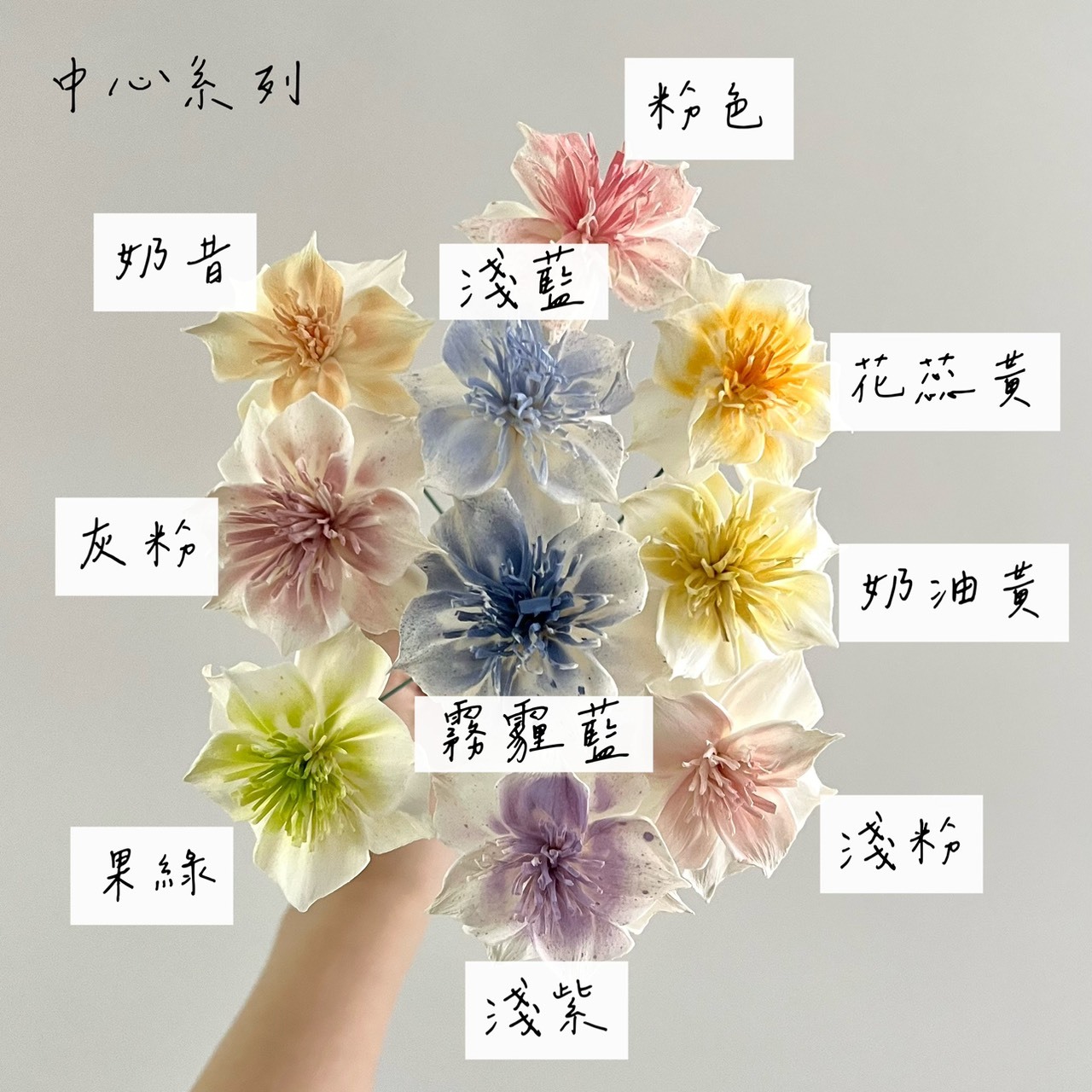 泰國索拉 尖葉扶桑花 6CM <十支一把> (高品質)
