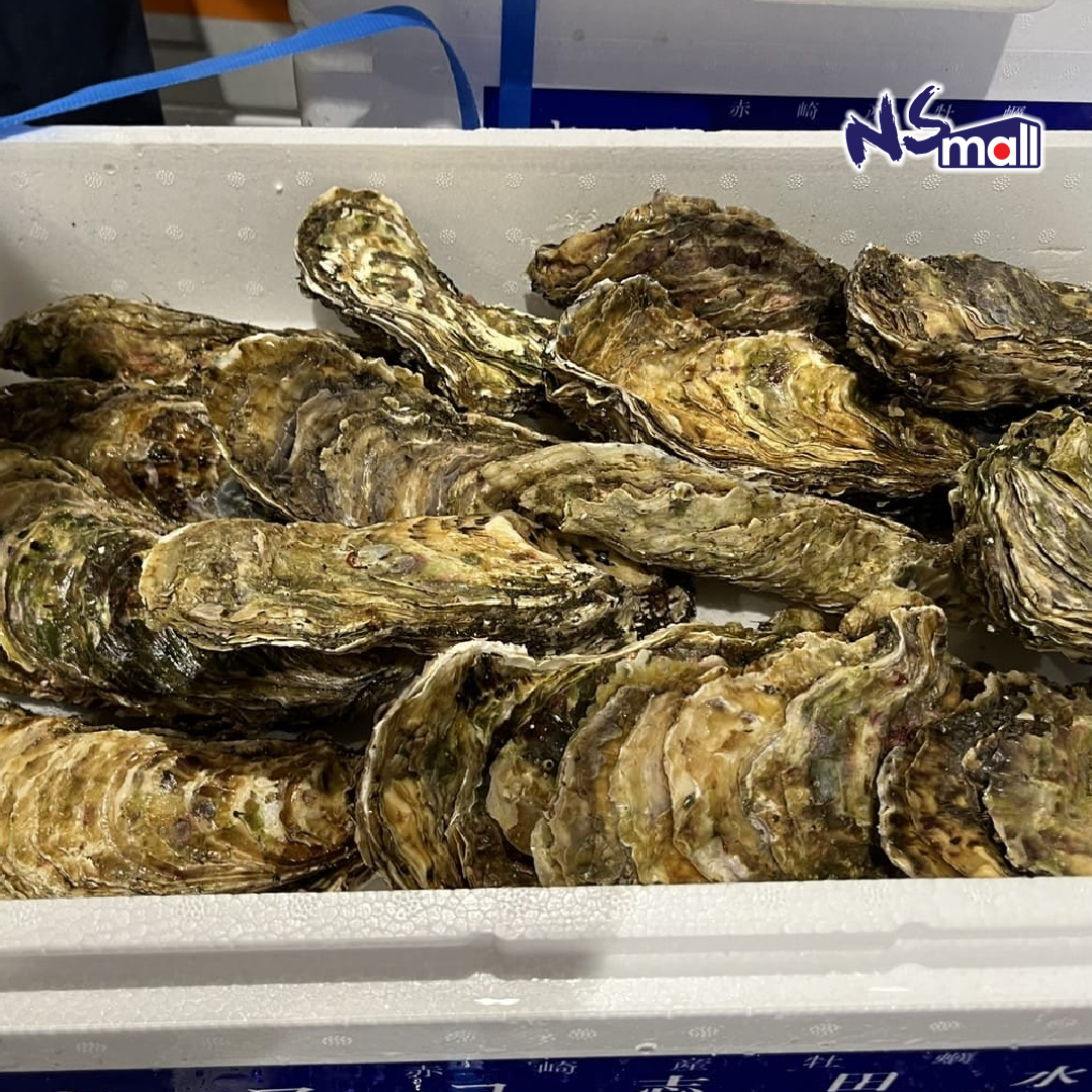 岩手縣 宮古 生蠔 約160-220g/隻