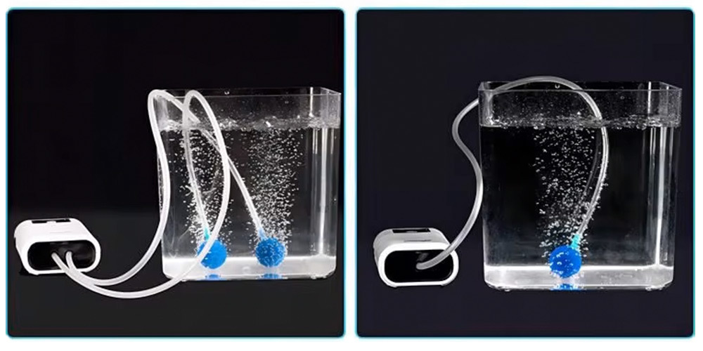 保證水族箱持續打氧超過一天，守護您的魚隻健康