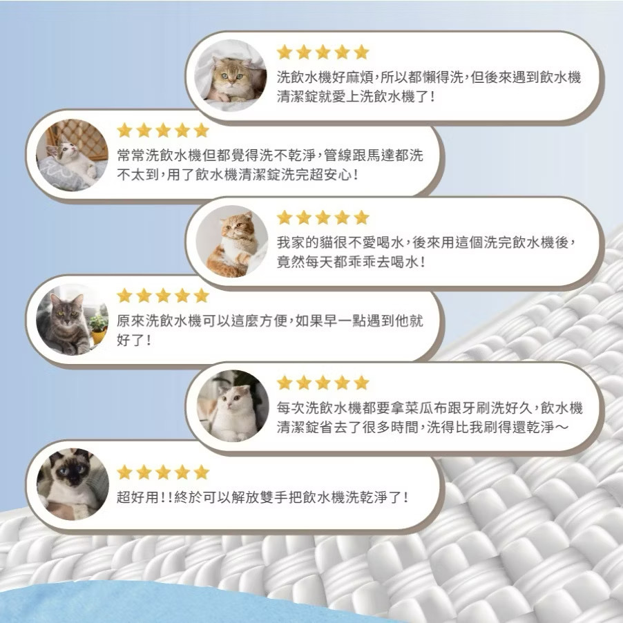 路易貓砂｜ZERO+ 寵物飲水機清潔錠 10包/盒 (寵物自動飲水機清潔)