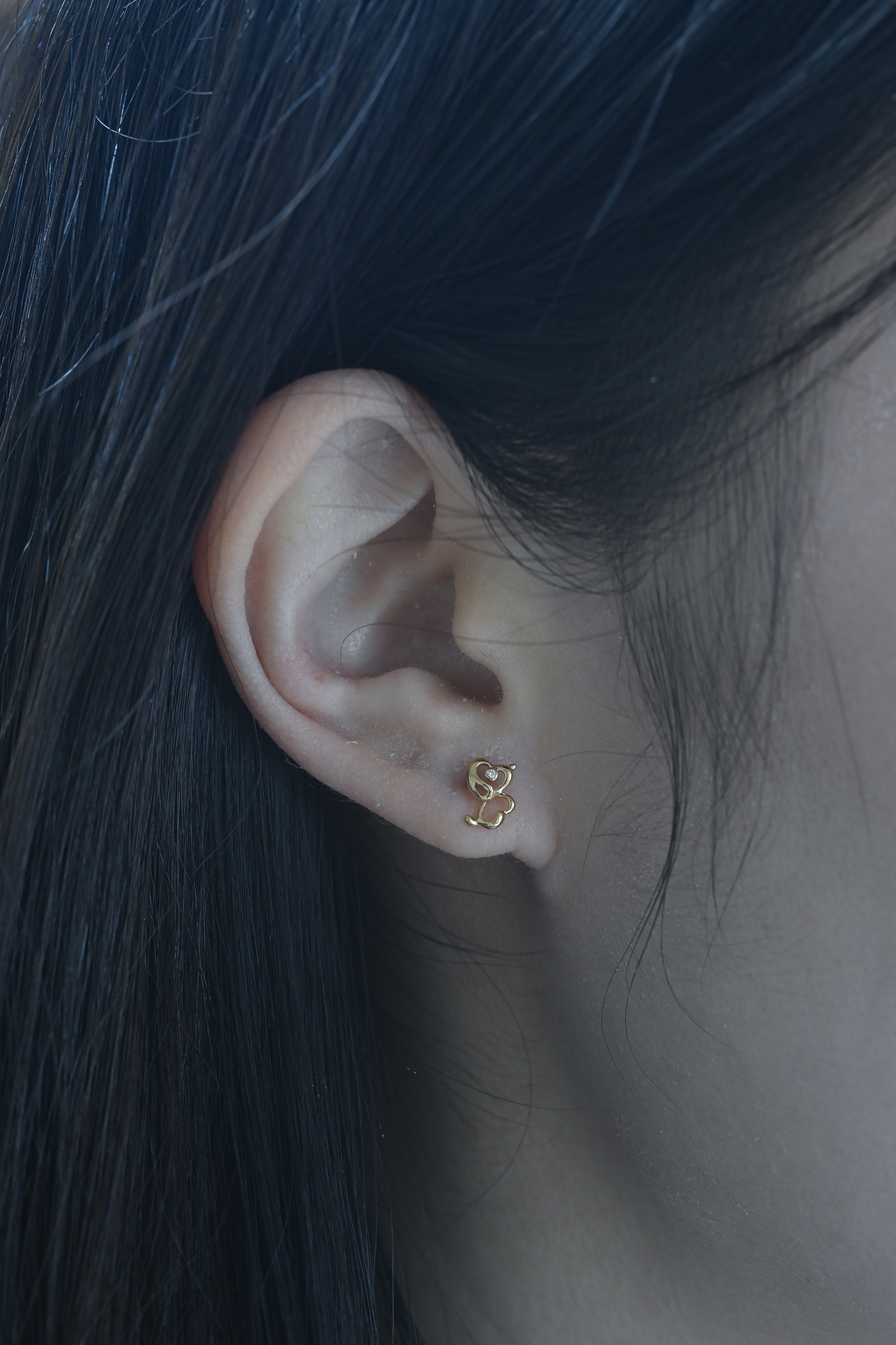 18K Beagle Diamond Earring