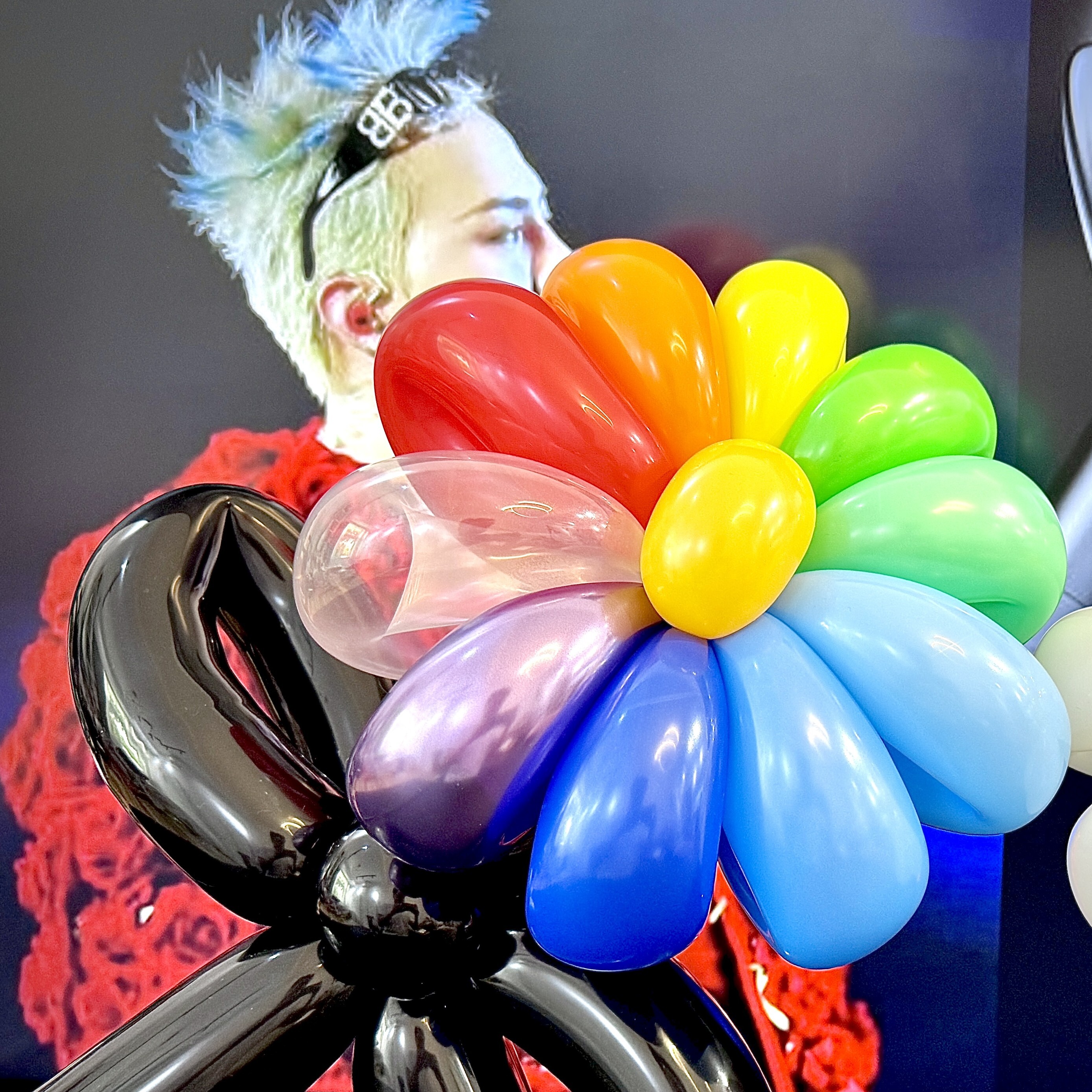 手折氣球丨GD款小雛菊