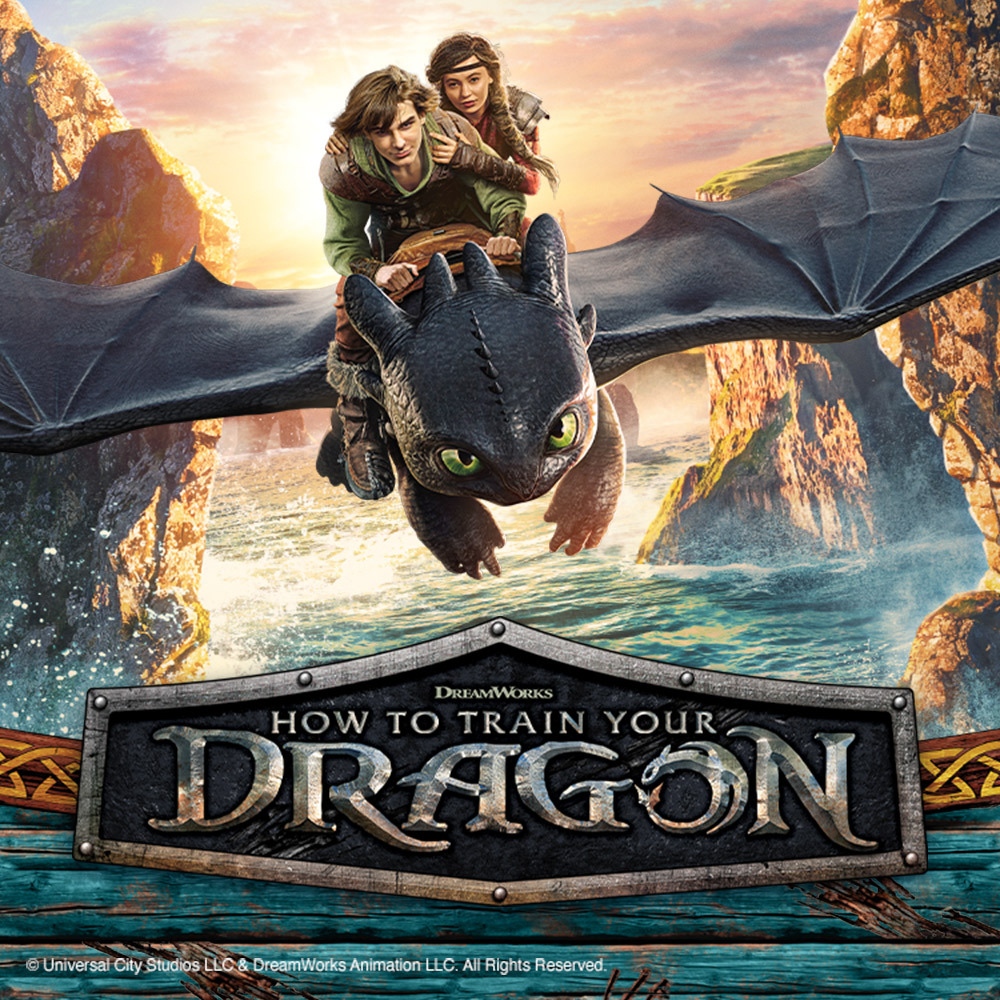 馴龍高手,訊龍高手電影