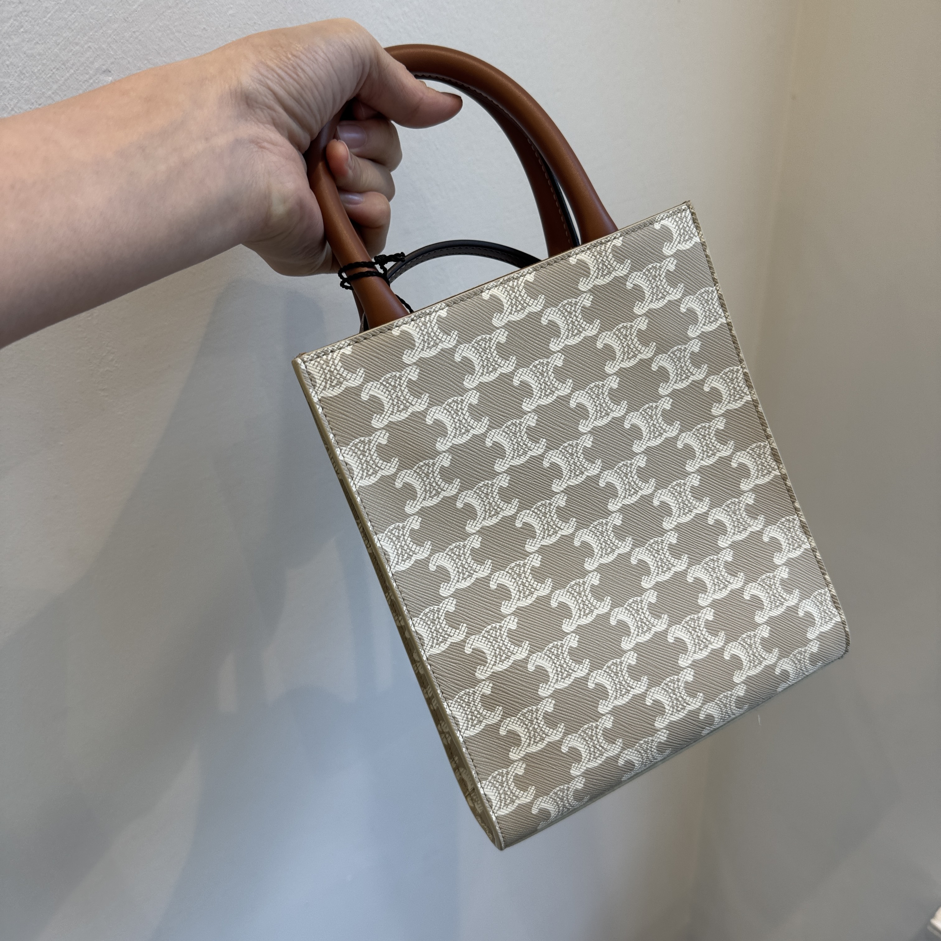 Celine bag Mini Vertical Cabas in Triomphe Canvas and calfskin