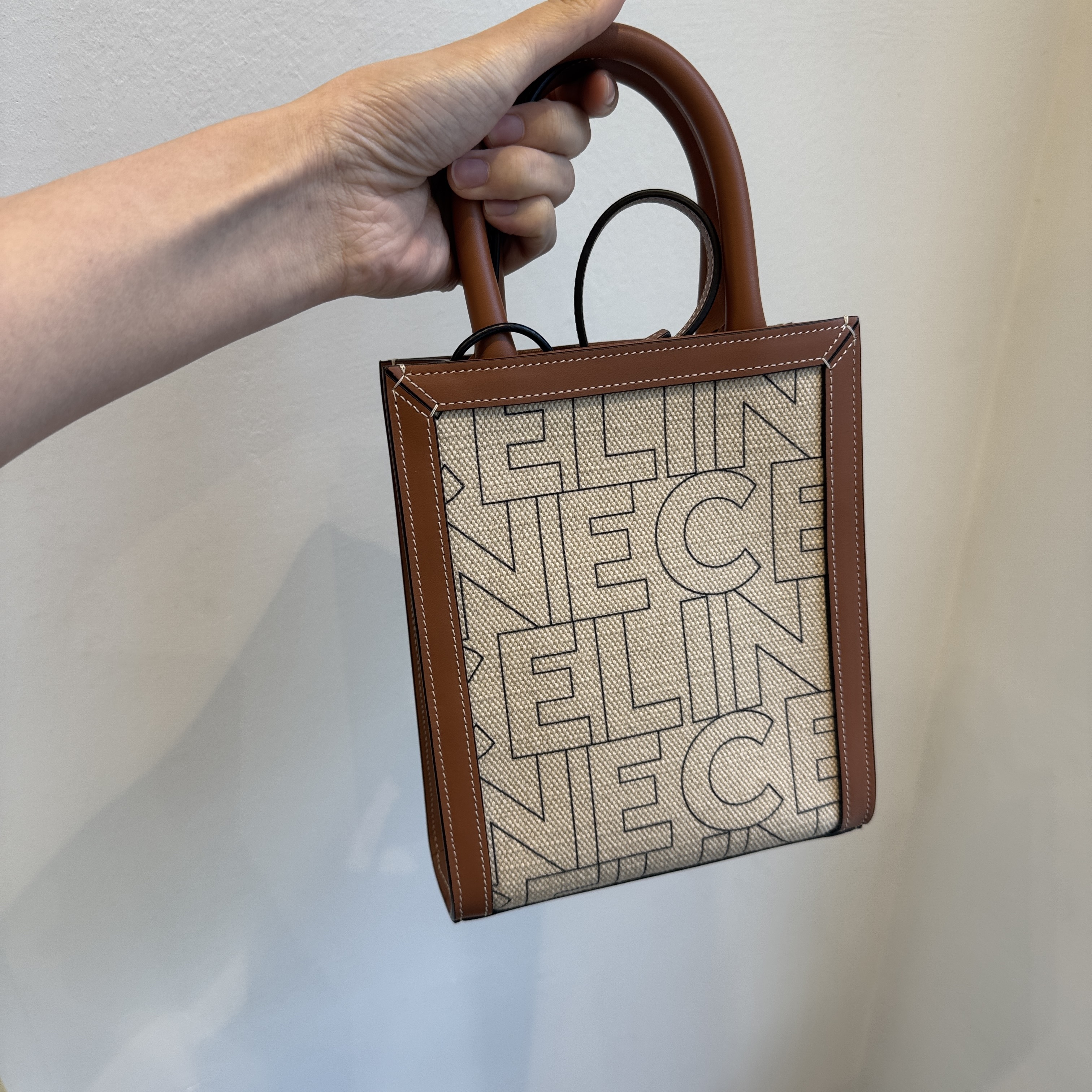 Celine bag Mini Vertical Cabas in Canvas Beige