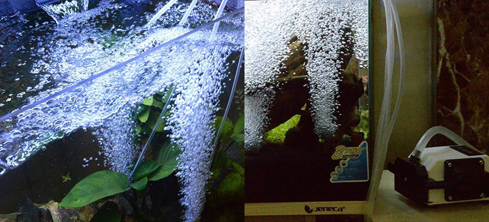 無論水體深度或面積大小，都能搭配氣泡盤或氣泡石，提升溶氧效率，廣泛滿足養殖業及水族愛好者需求