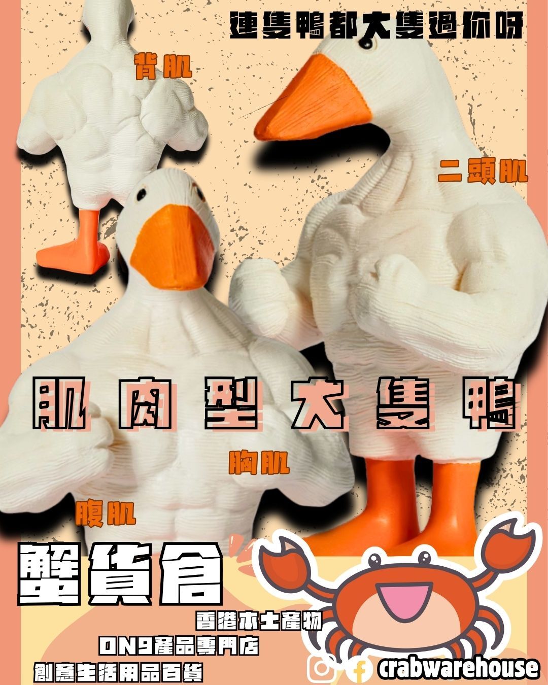 肌肉型大隻鴨擺設| 二頭肌腹肌背肌胸肌| 重訓型鴨大隻鴨figure| 連隻鴨都大隻過你| 重唔去做gym?