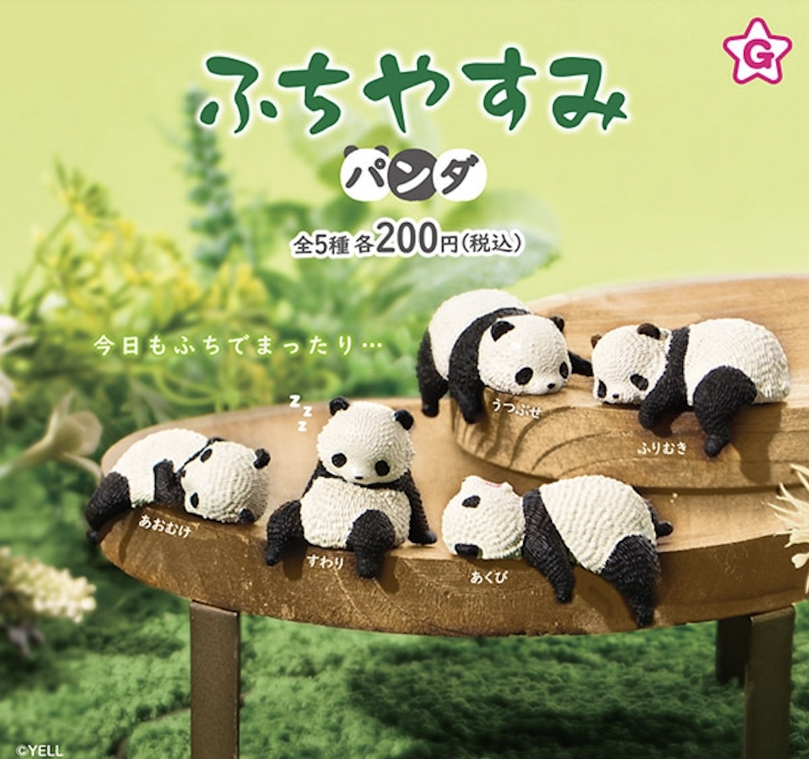 【現貨】邊緣休息熊貓扭蛋(全5種)