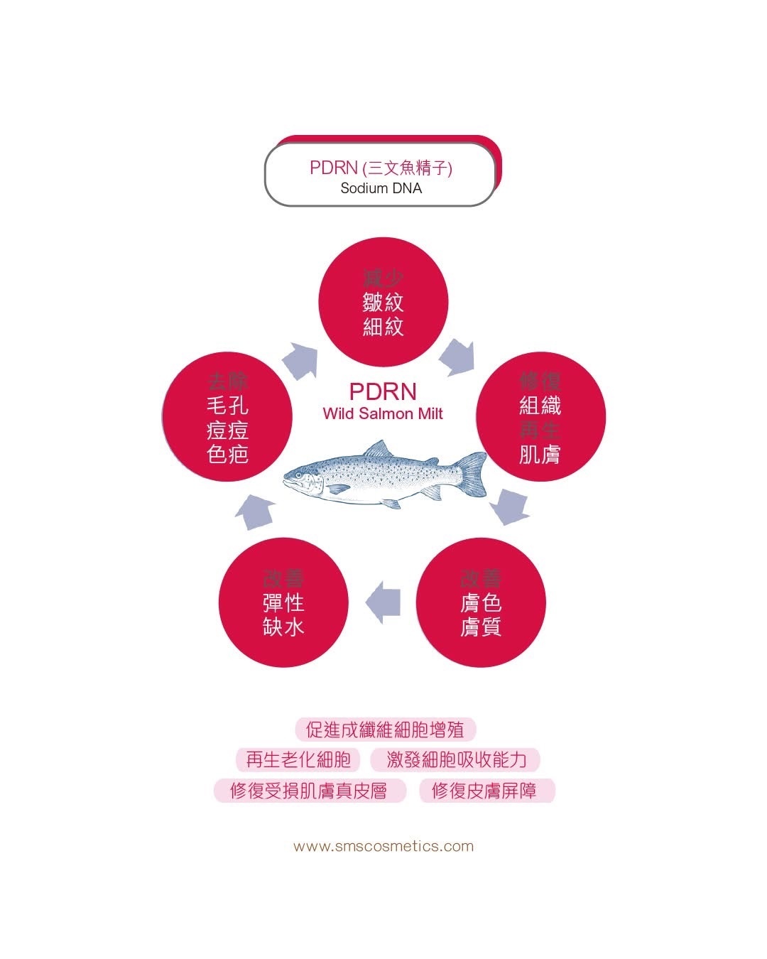 SMS ECM Extracellular Matrix Healing Mask 醫美修復光纖面膜 （美容院裝）