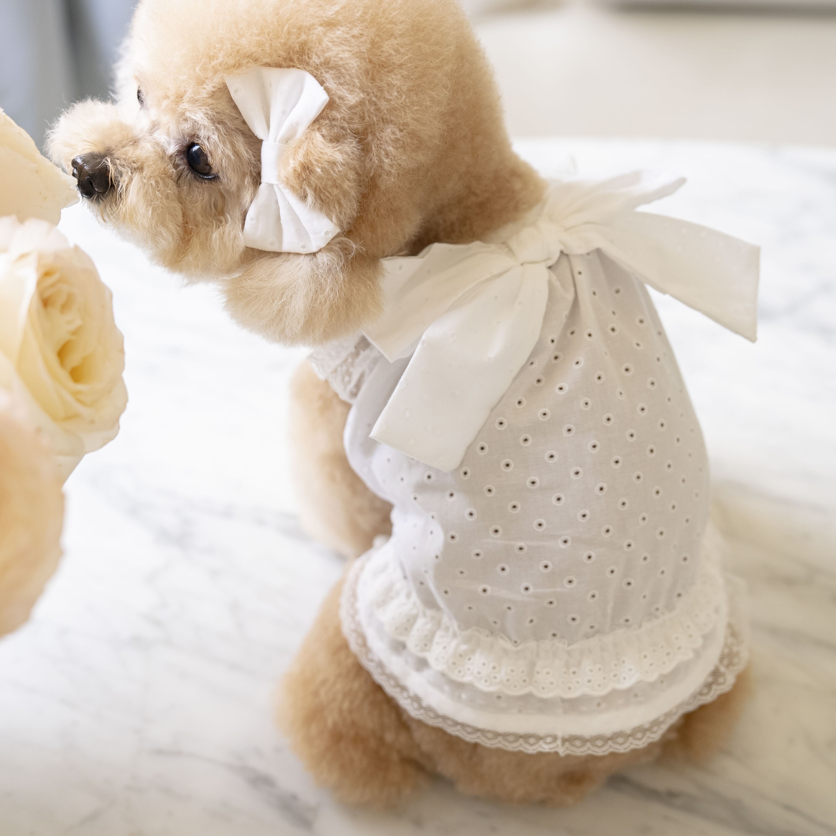 OPAAAP Malibu 度假風洋裝 (純白)