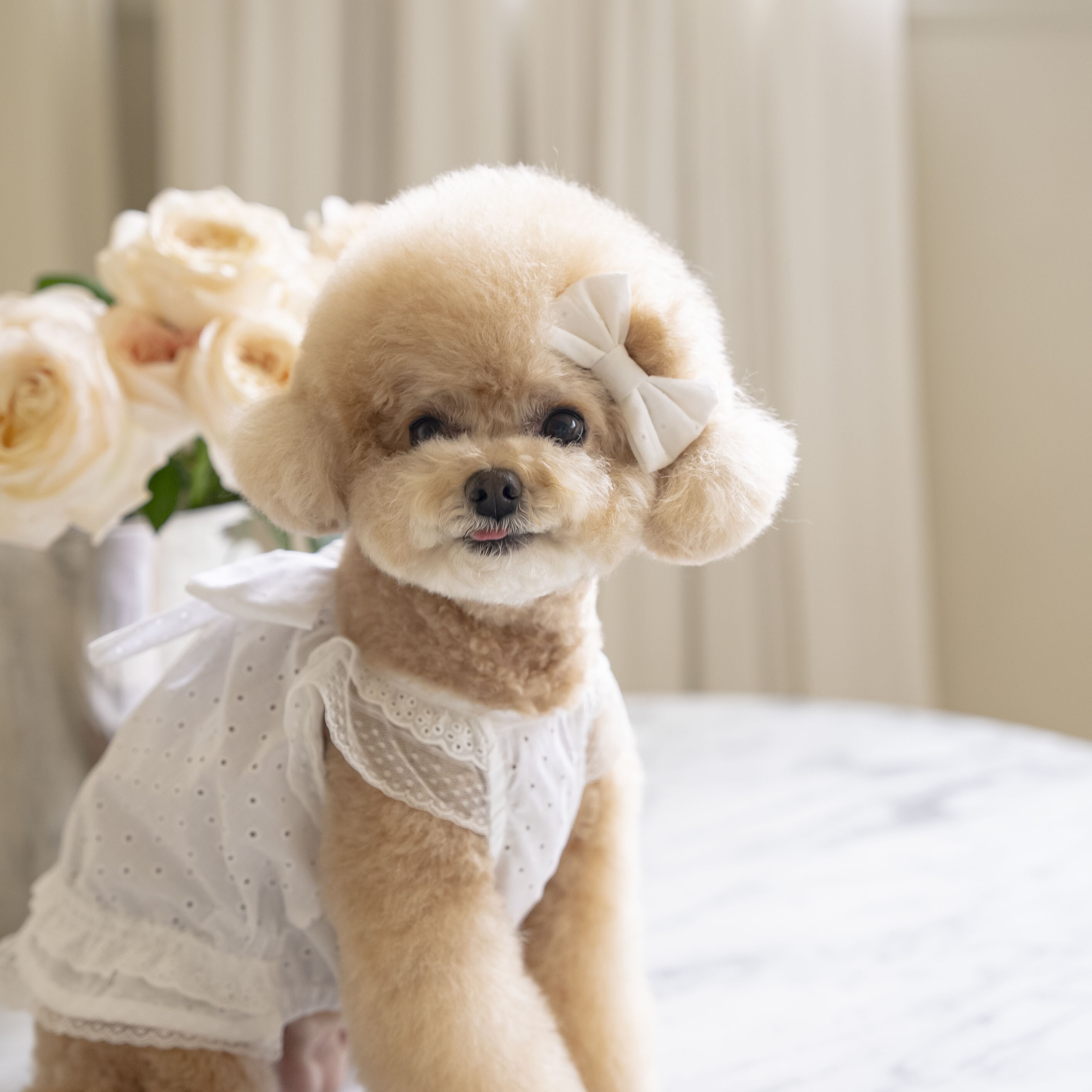 OPAAAP Malibu 度假風洋裝 (純白)