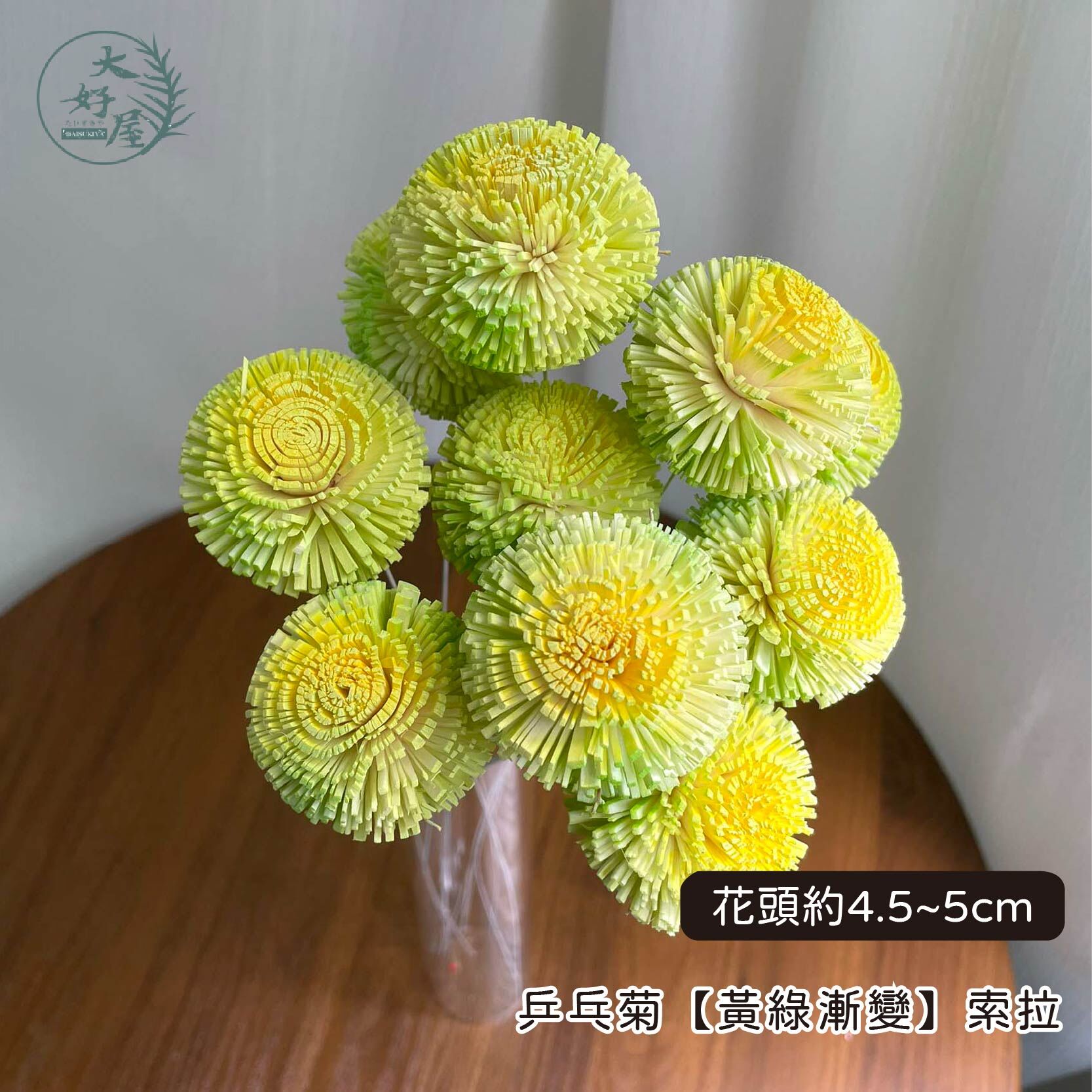 噴染乒乓索拉 (6支裝)