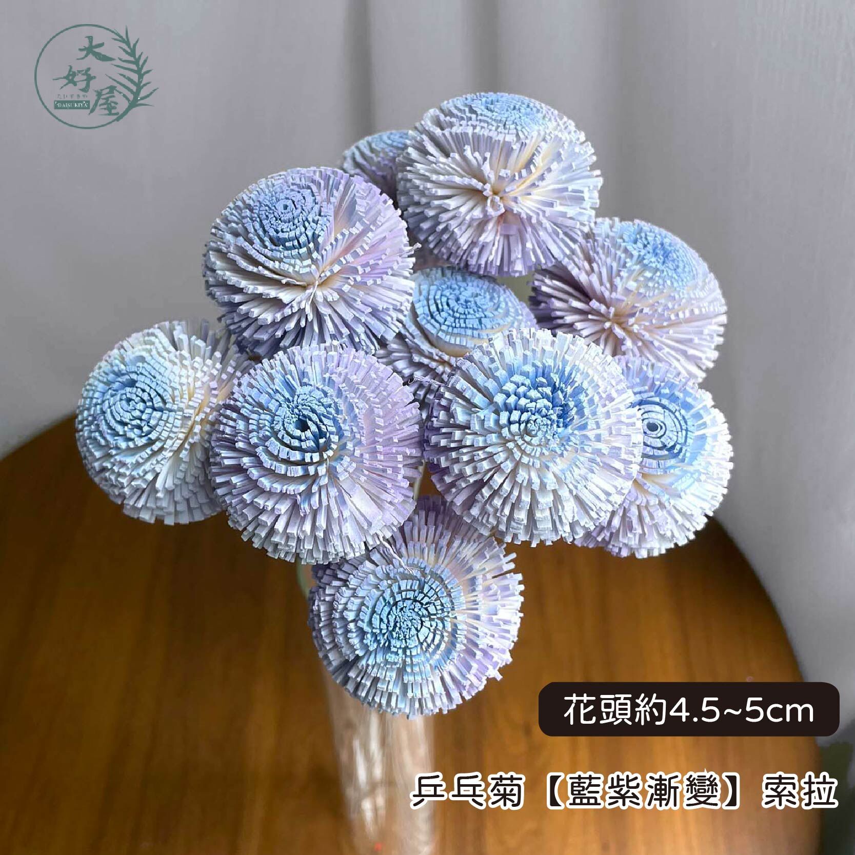 噴染乒乓索拉 (6支裝)